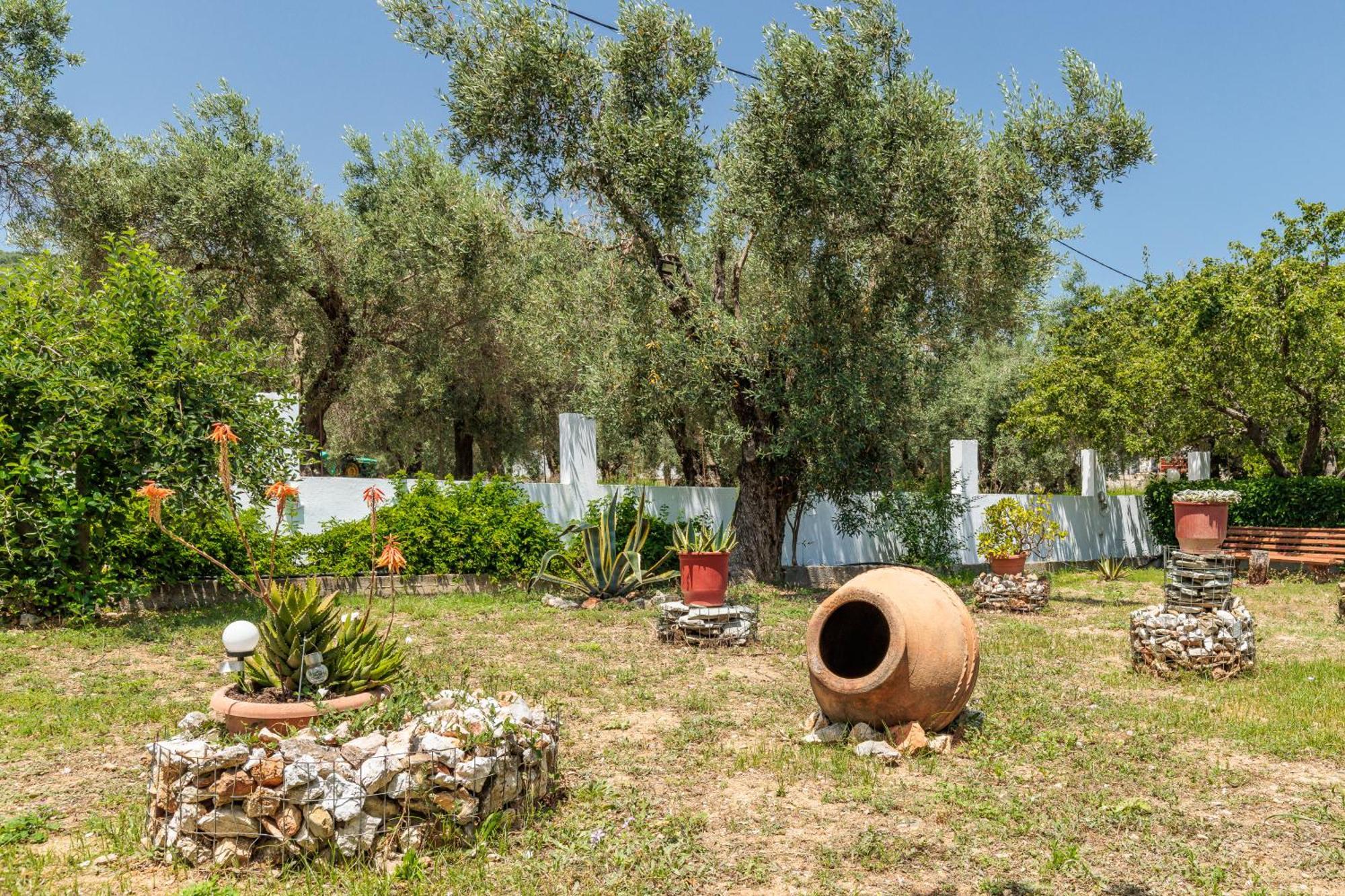 Panagou Studios Skopelos Town Exterior foto